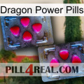 Dragon Power Pills 15